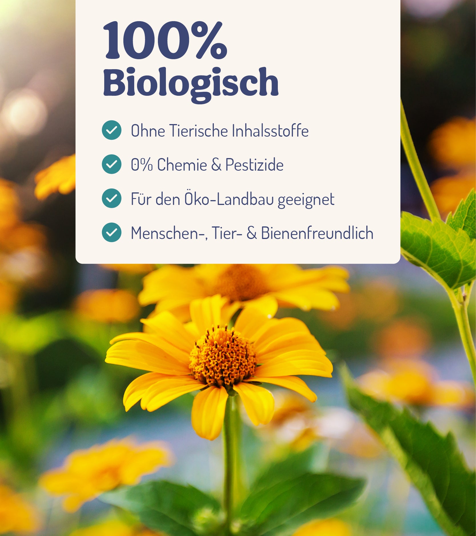  BalkonWunder - Für Topf- & Kübelpflanzen (250 Ml)