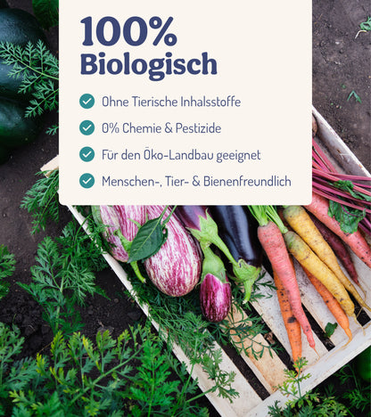  ErnteWunder - Für Obst & Gemüse (500 Ml)