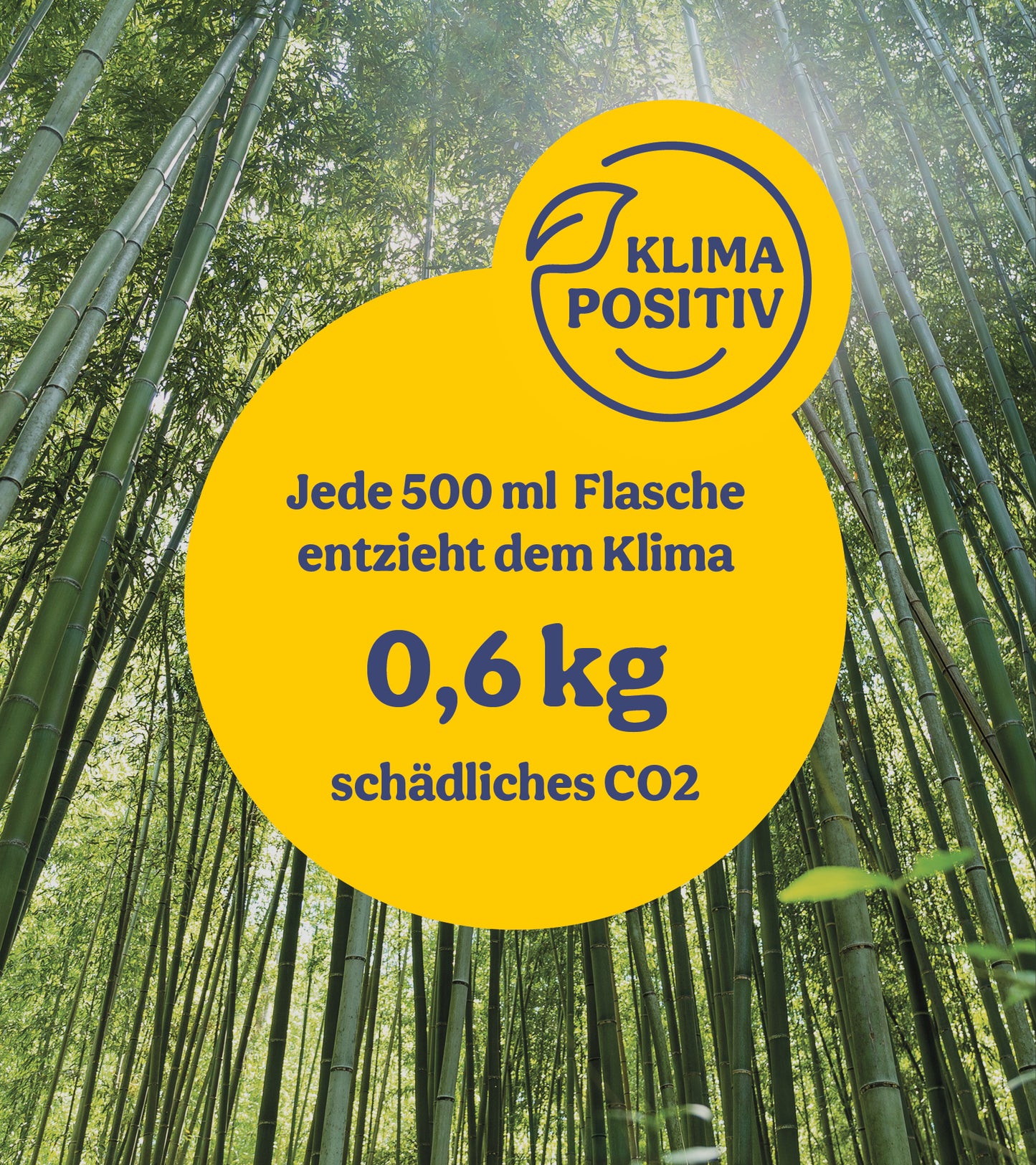  BalkonWunder - Für Topf- & Kübelpflanzen (500 Ml)