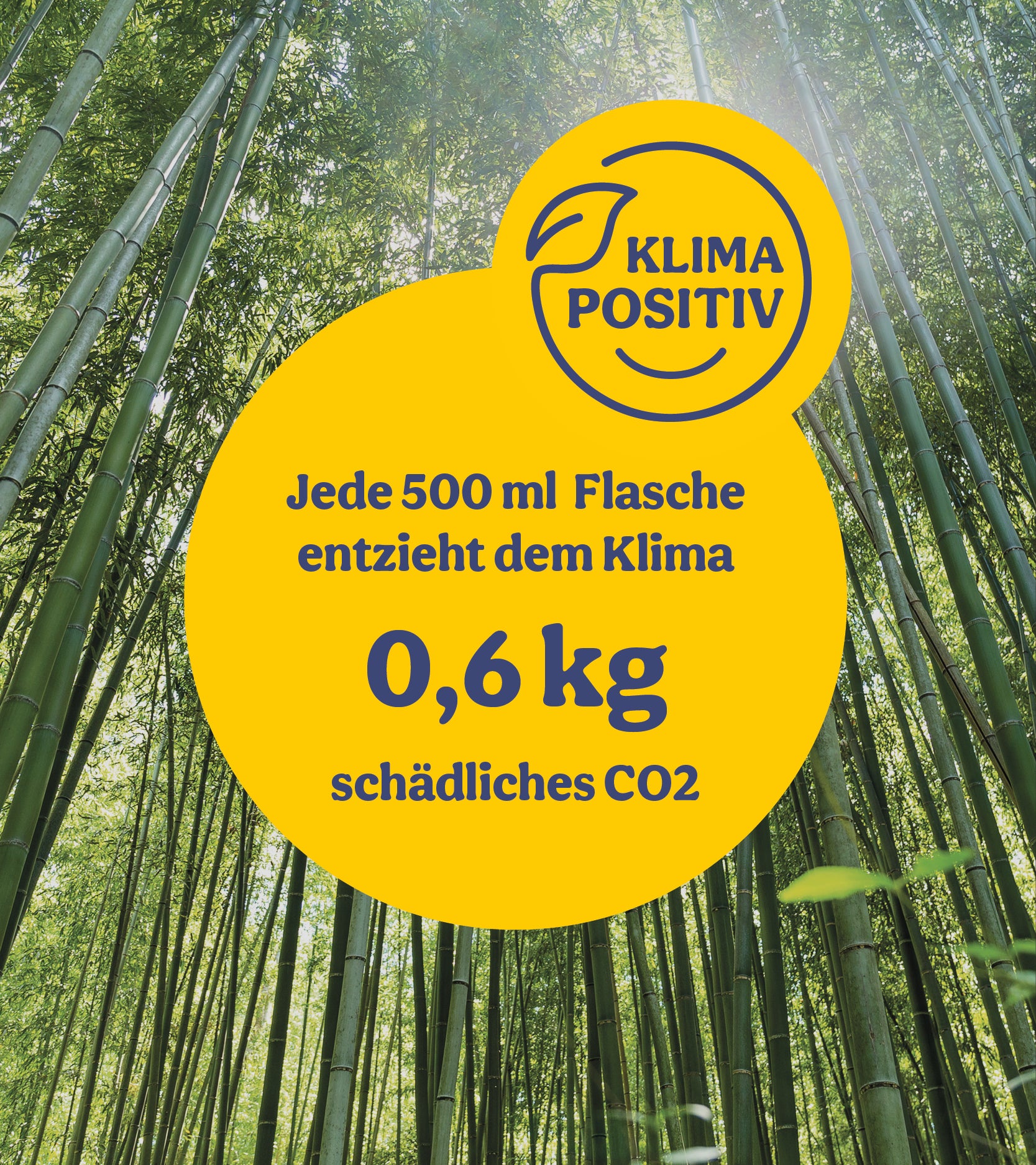  BalkonWunder - Für Topf- & Kübelpflanzen (500 Ml)