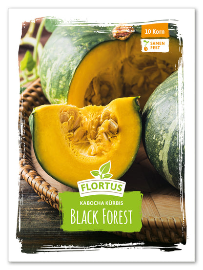  Kabocha Kürbis Black Forest
