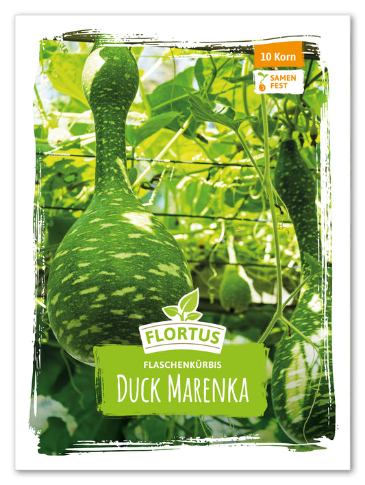  Flaschenkürbis Duck Marenka