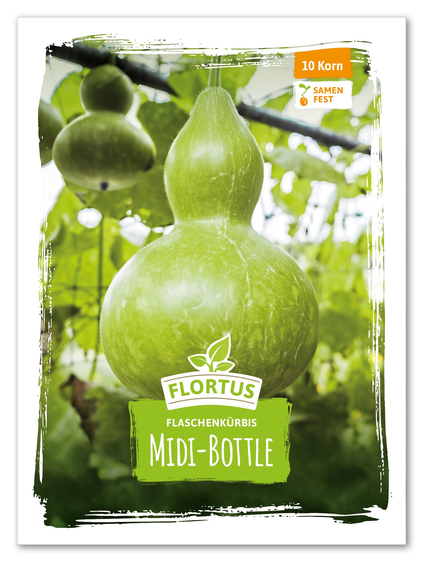  Flaschenkürbis Midi Bottle