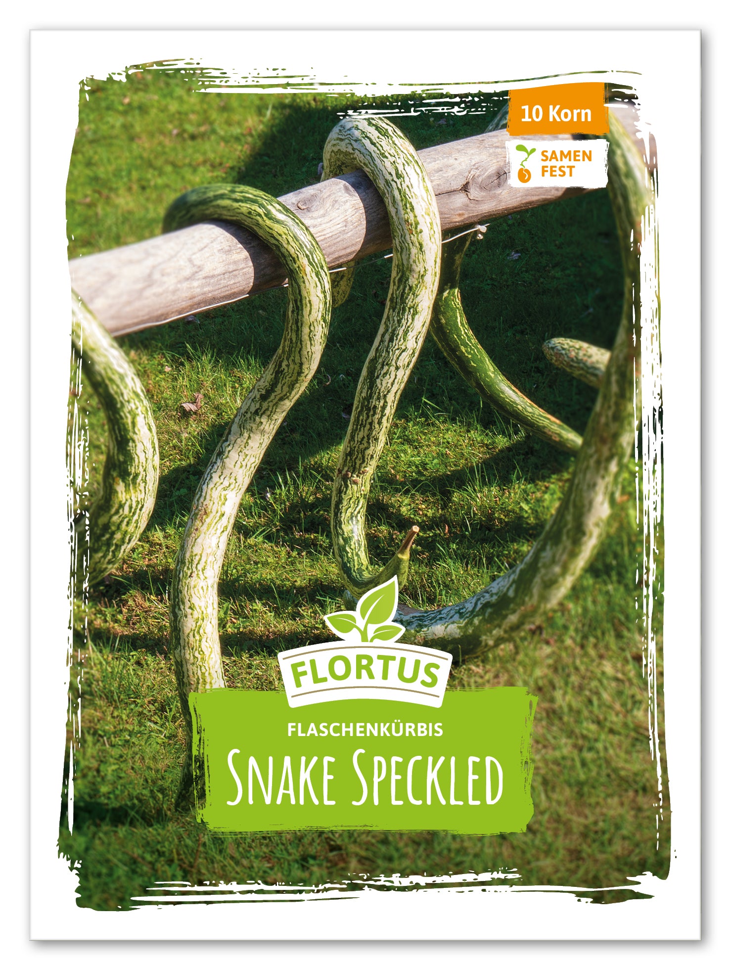  Flaschenkürbis Speckled Snake