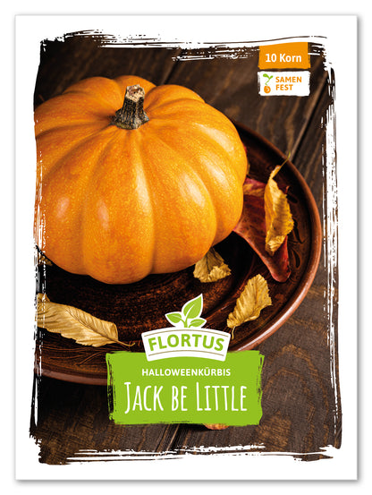  Halloweenkürbis Jack Be Little