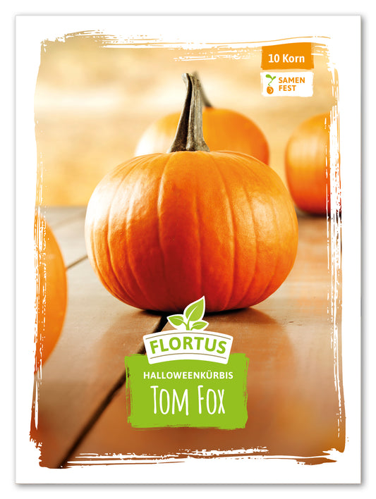  Halloweenkürbis Tom Fox