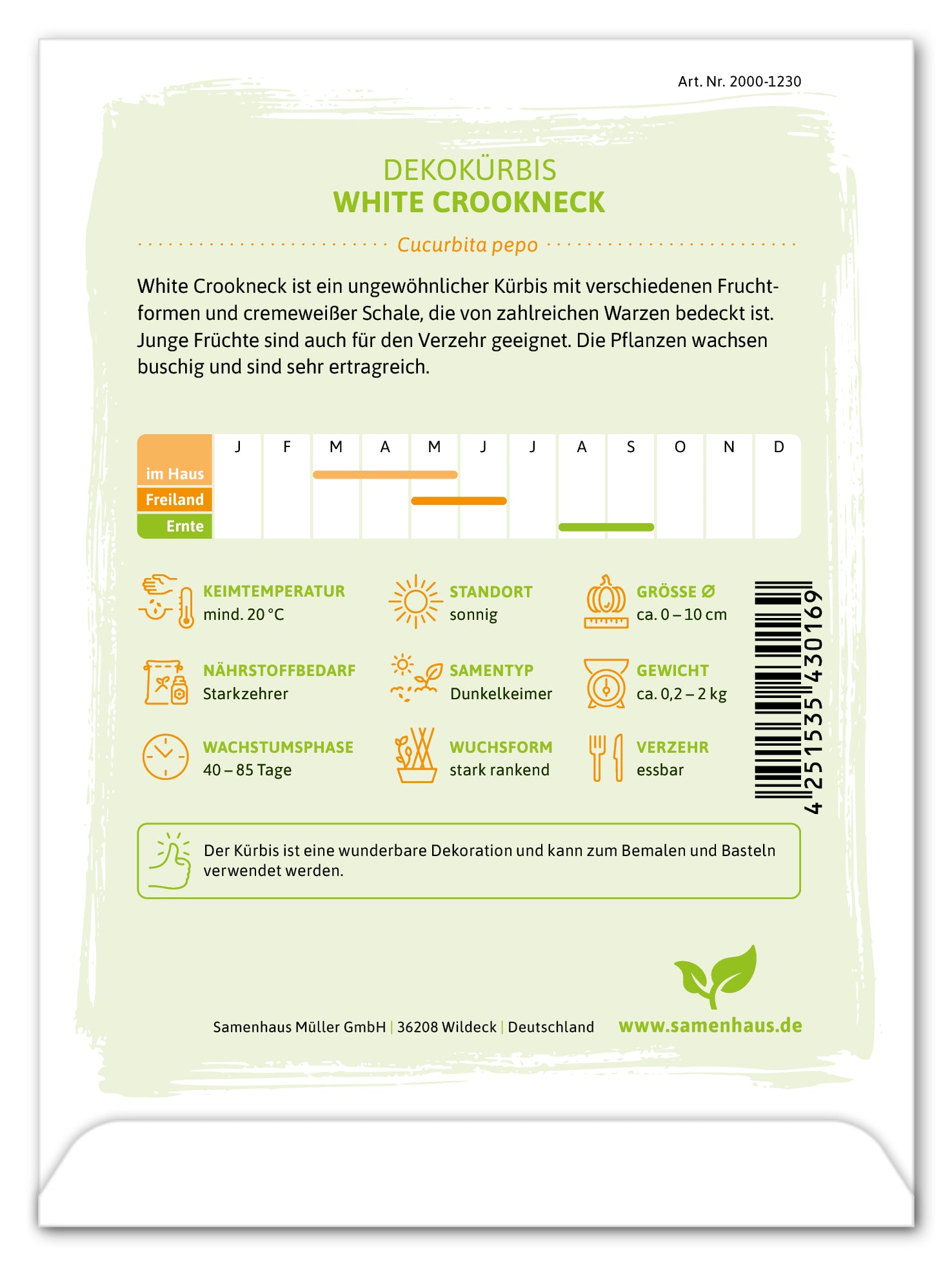  Dekokürbis White Crookneck