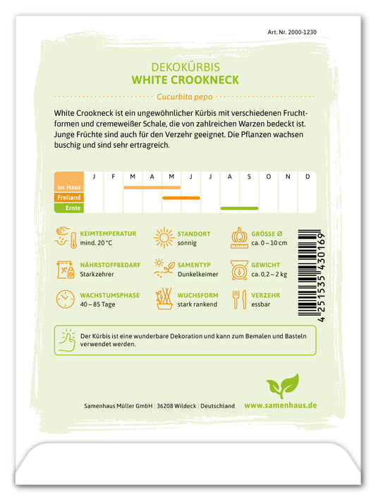  Dekokürbis White Crookneck