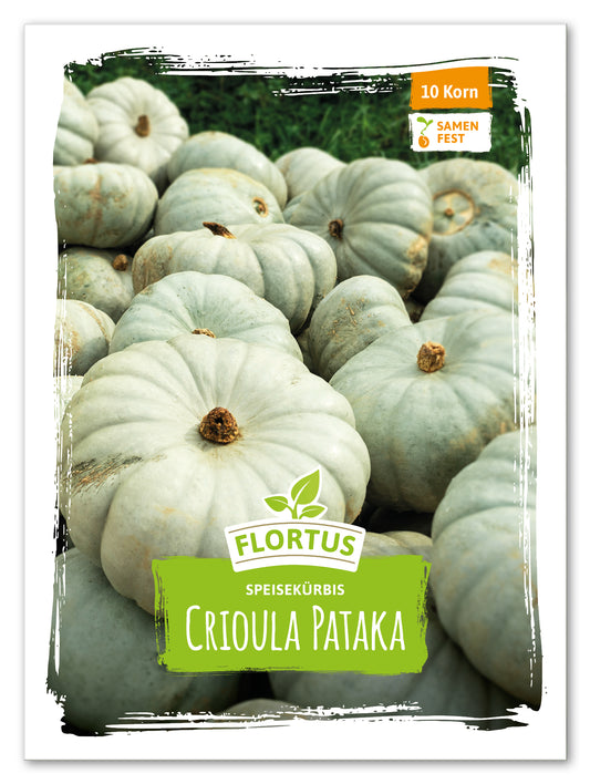  Speisekürbis Crioula Pataka