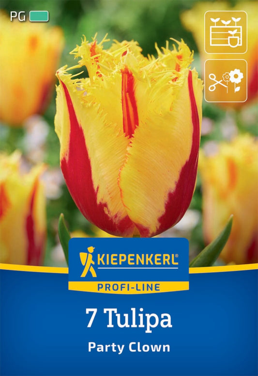  Gefranste Tulpe Party Clown (7 Stück)