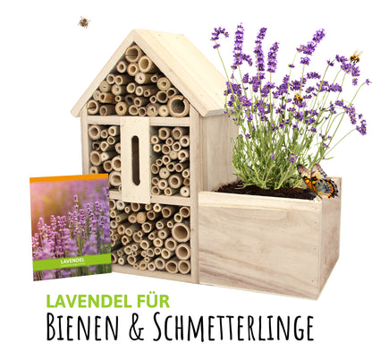  Insektenhotel Lavendel