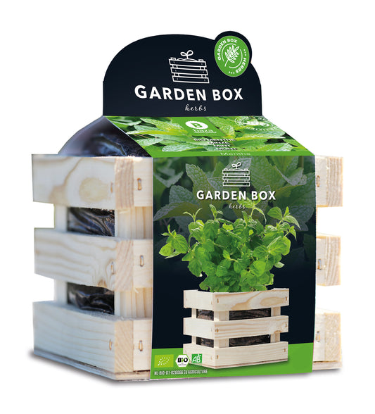  BIO Garden Box Gewürze Minze [MHD 12/2025]