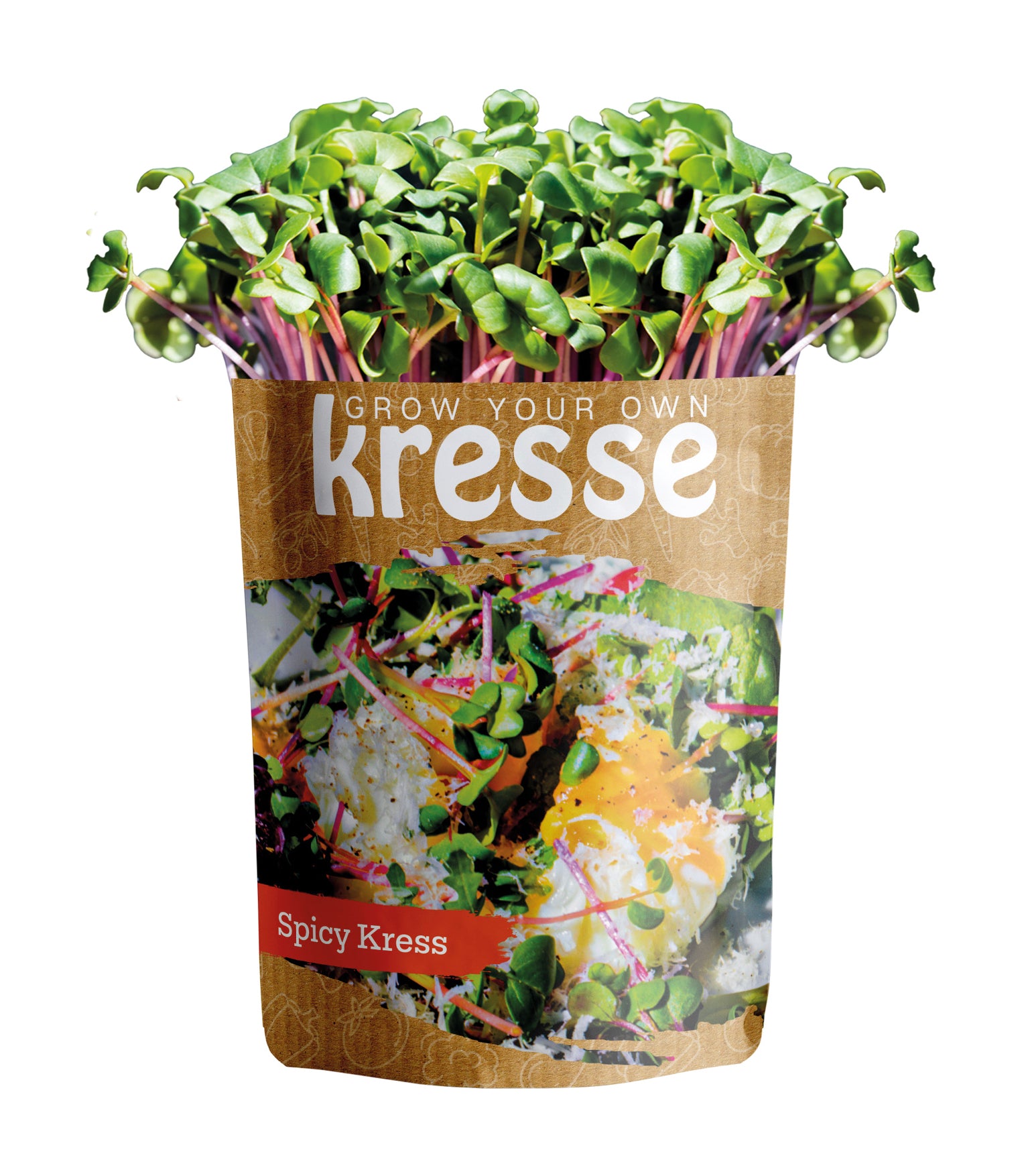  Grow Your Own Kressen Spicy Kresse