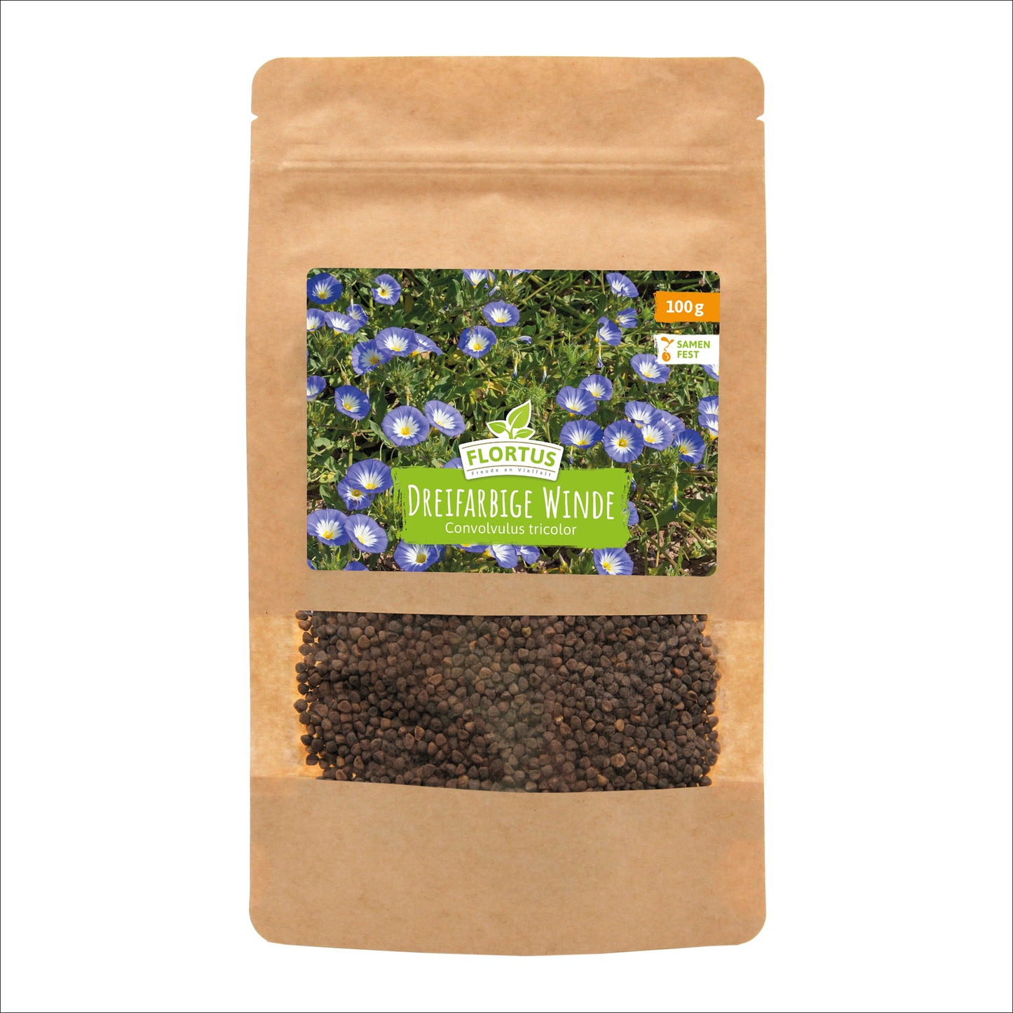  Wiesenblume Dreifarbige Winde (100 G)