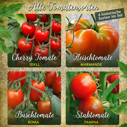  Alte Tomatensorten Set