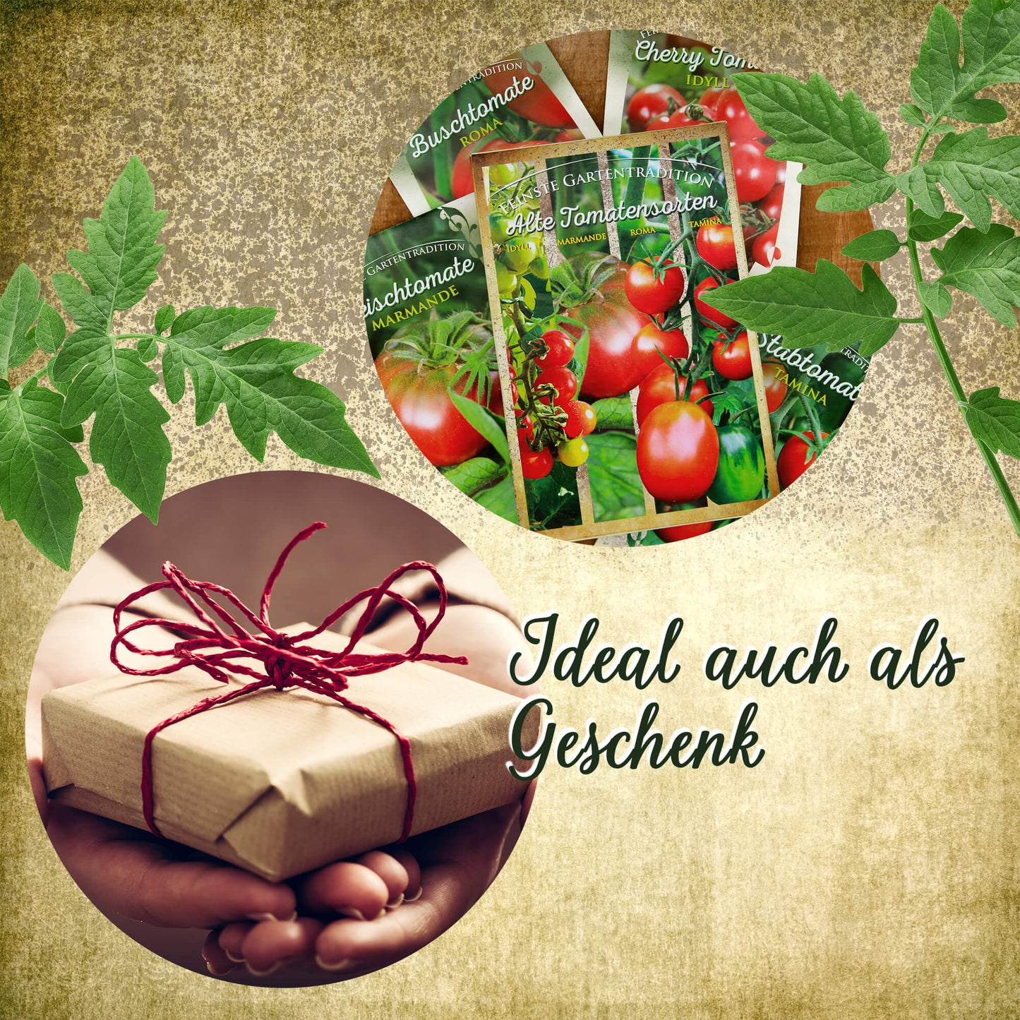  Alte Tomatensorten Set