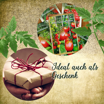 Alte Tomatensorten Set