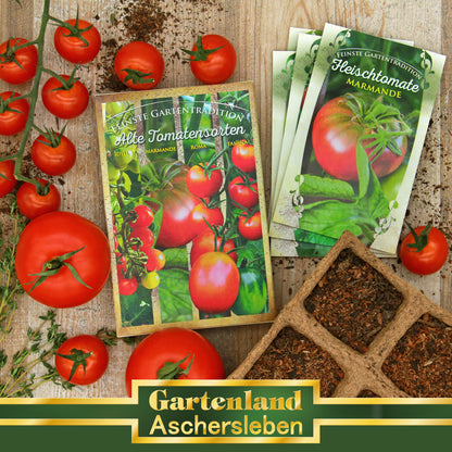  Alte Tomatensorten Set