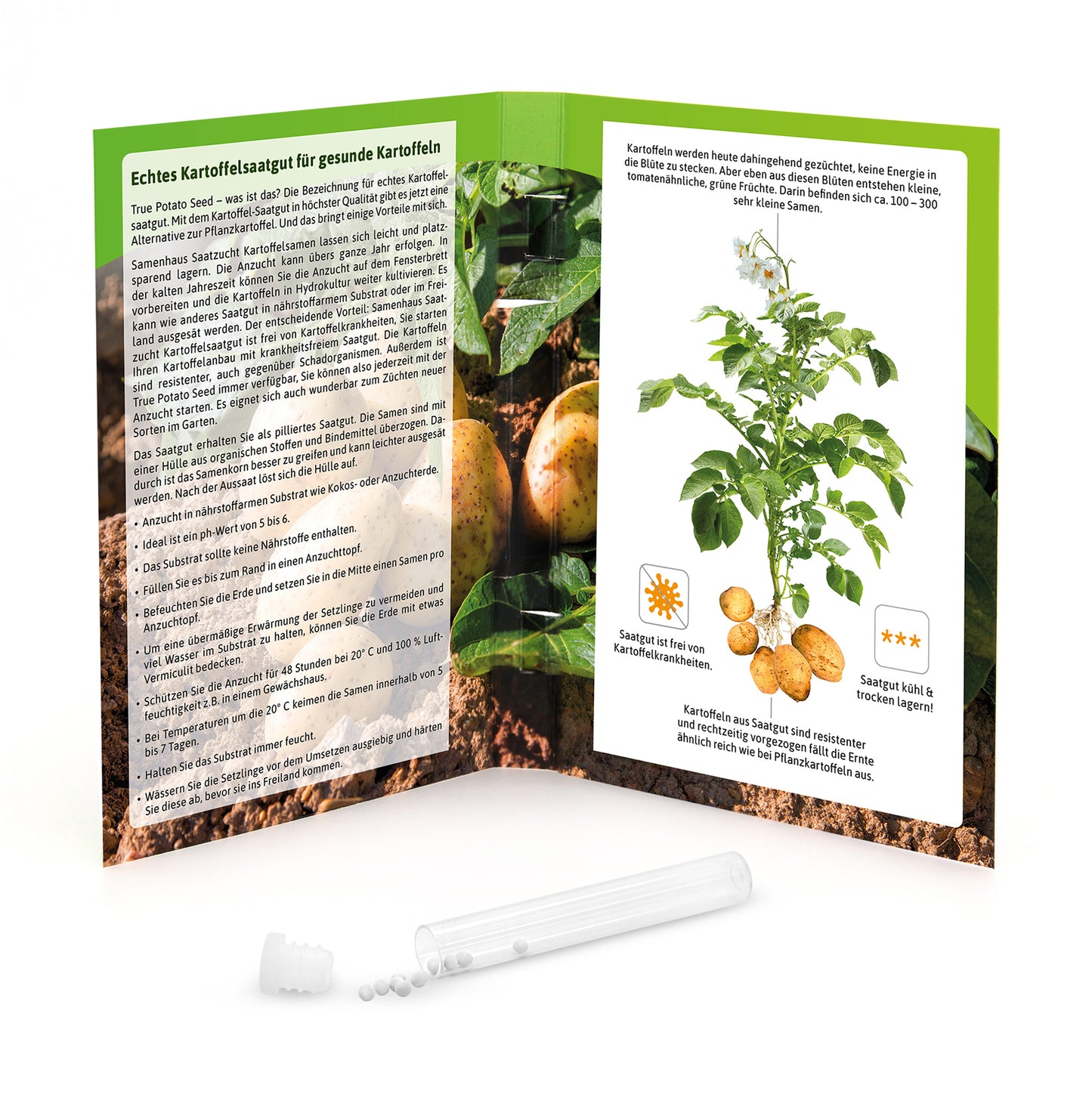  Anzuchtset HARRY HERBS & Oliver F1 Kartoffelsamen (Pillensaat)