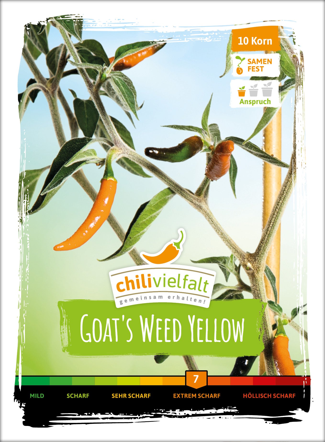  Chili Goat`s Weed Yellow