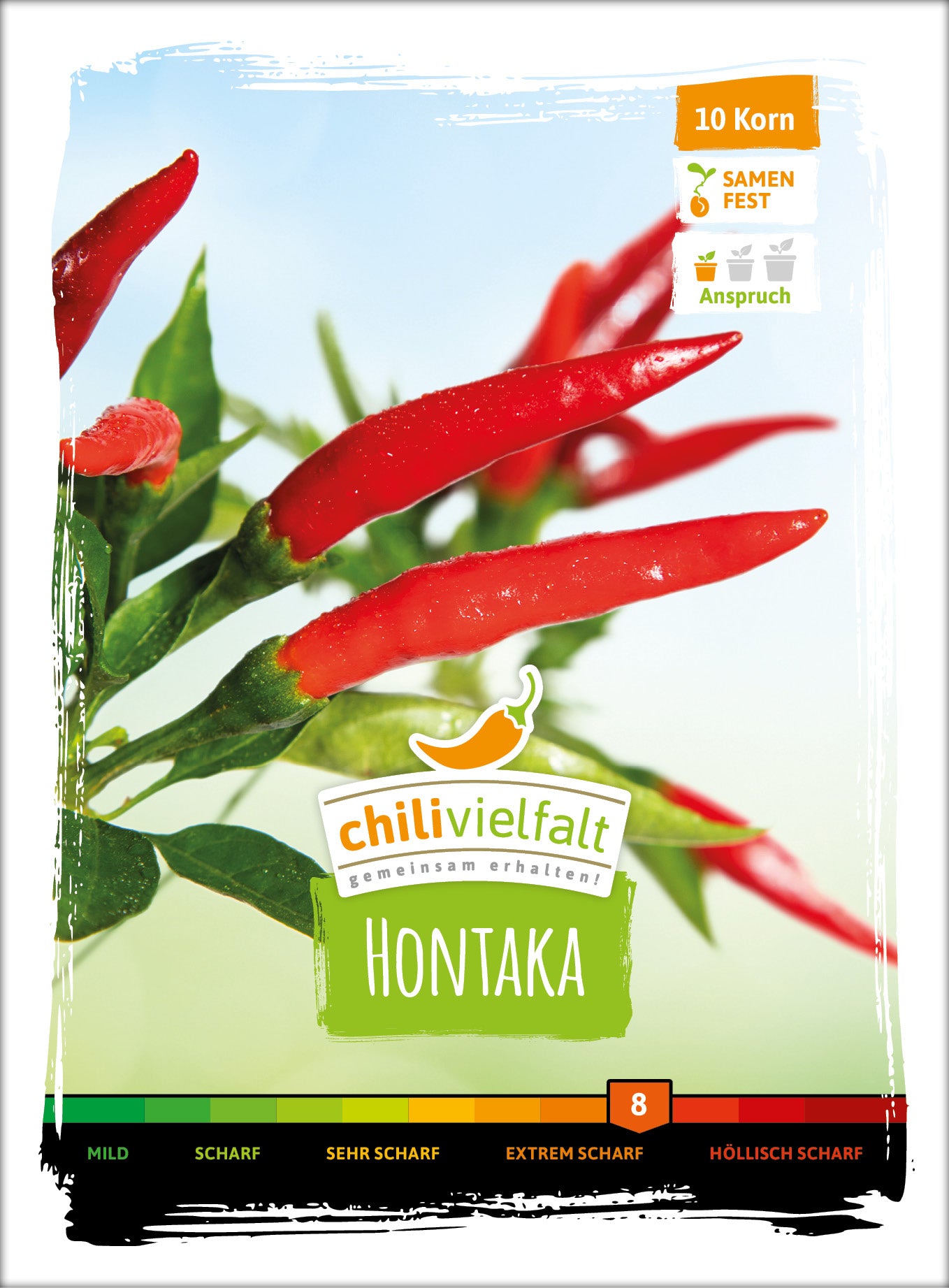 Chili Hontaka