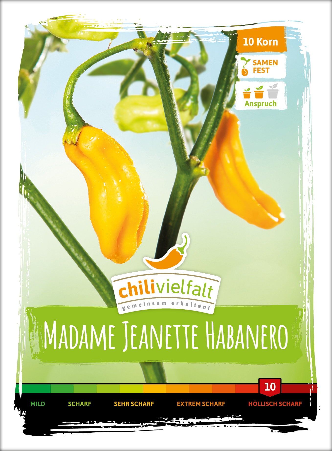  Chili Madame Jeanette Habanero