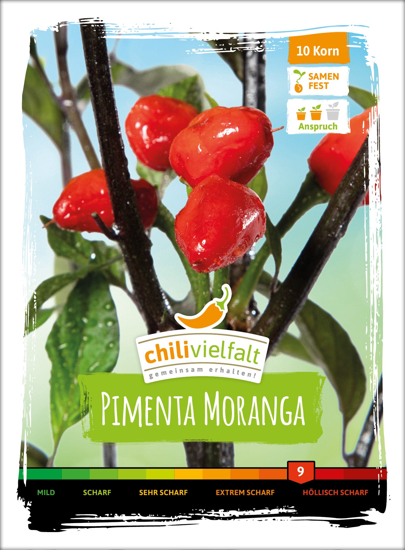  Chili Pimenta Moranga