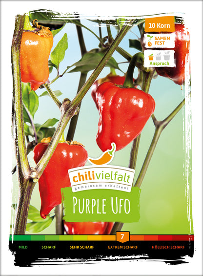  Chili Purple Ufo