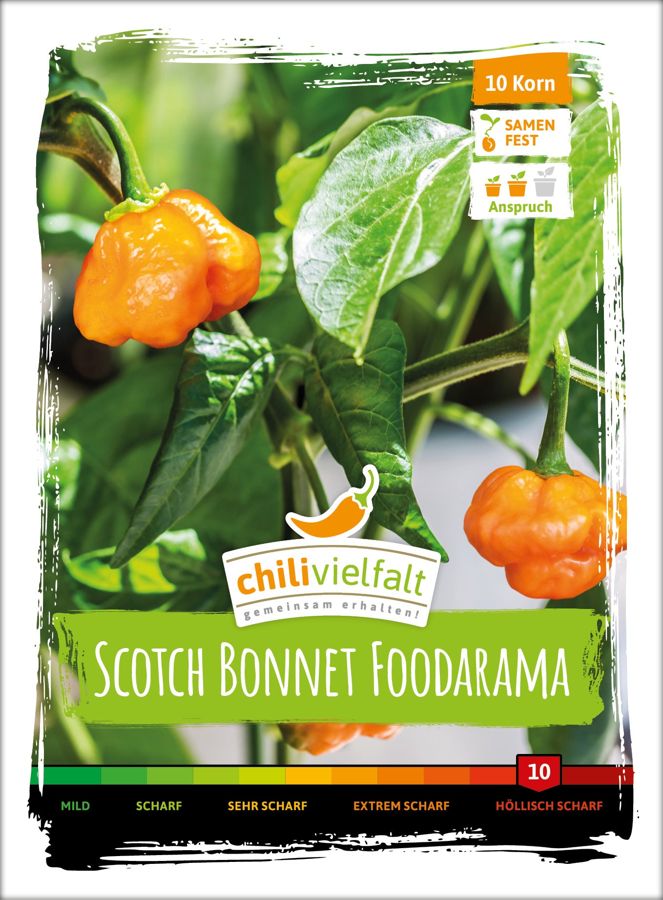  Chili Scotch Bonnet Foodarama Yellow