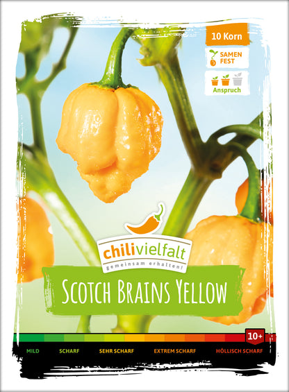  Chili Scotch Brains Yellow