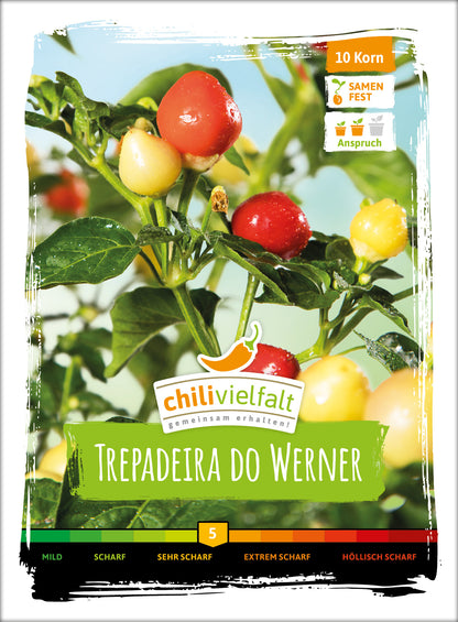  Chili Trepadeira Do Werner