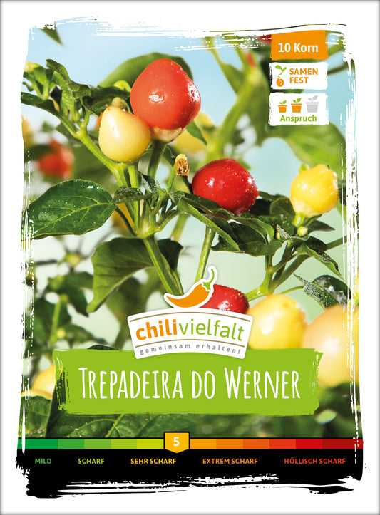  Chili Trepadeira Do Werner