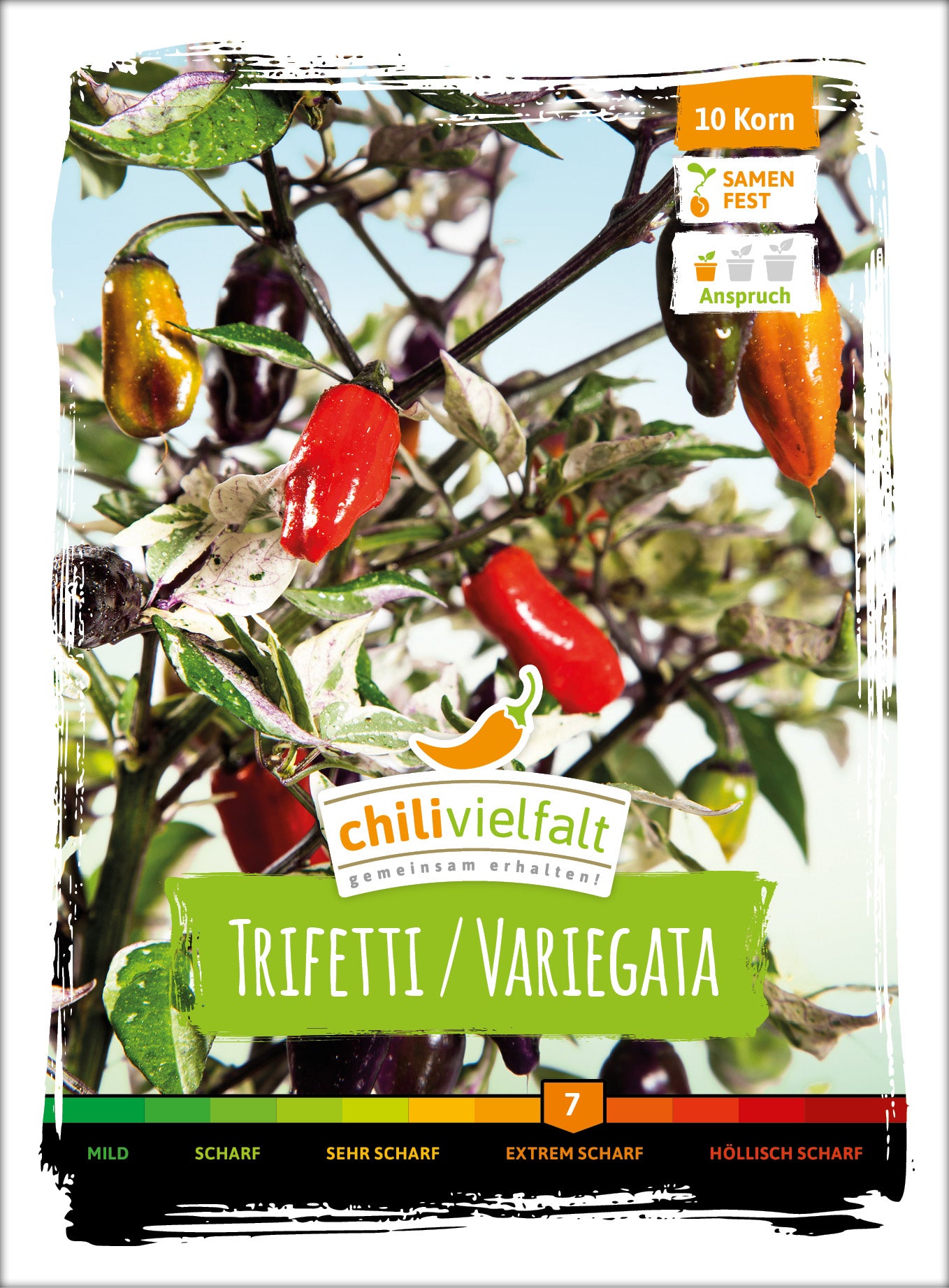  Chili Trifetti / Variegata
