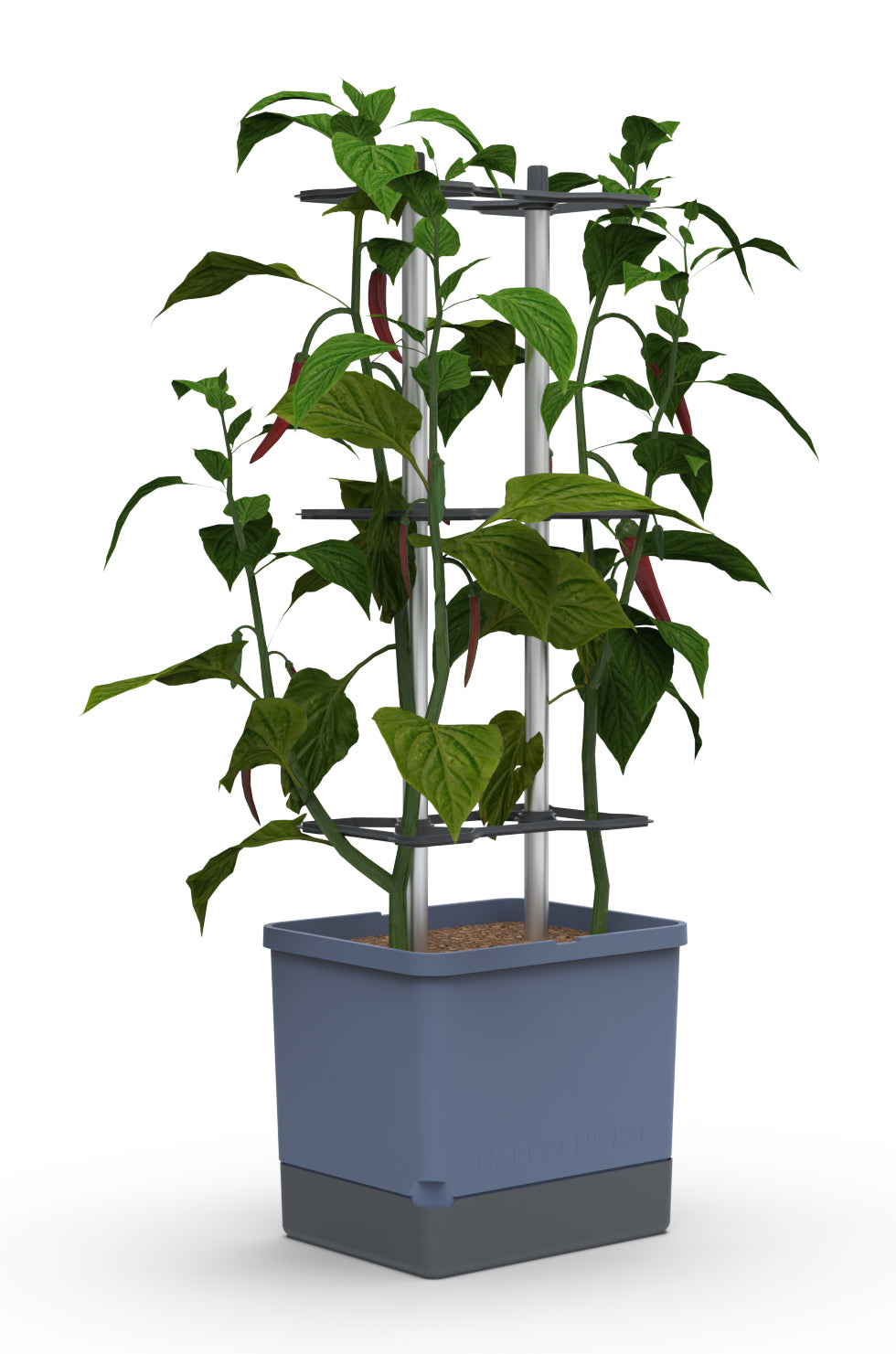  CHARLY CHILI XL Chilitopf Blau