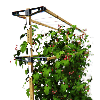  BERRY BUDDY Beerenrankhilfe