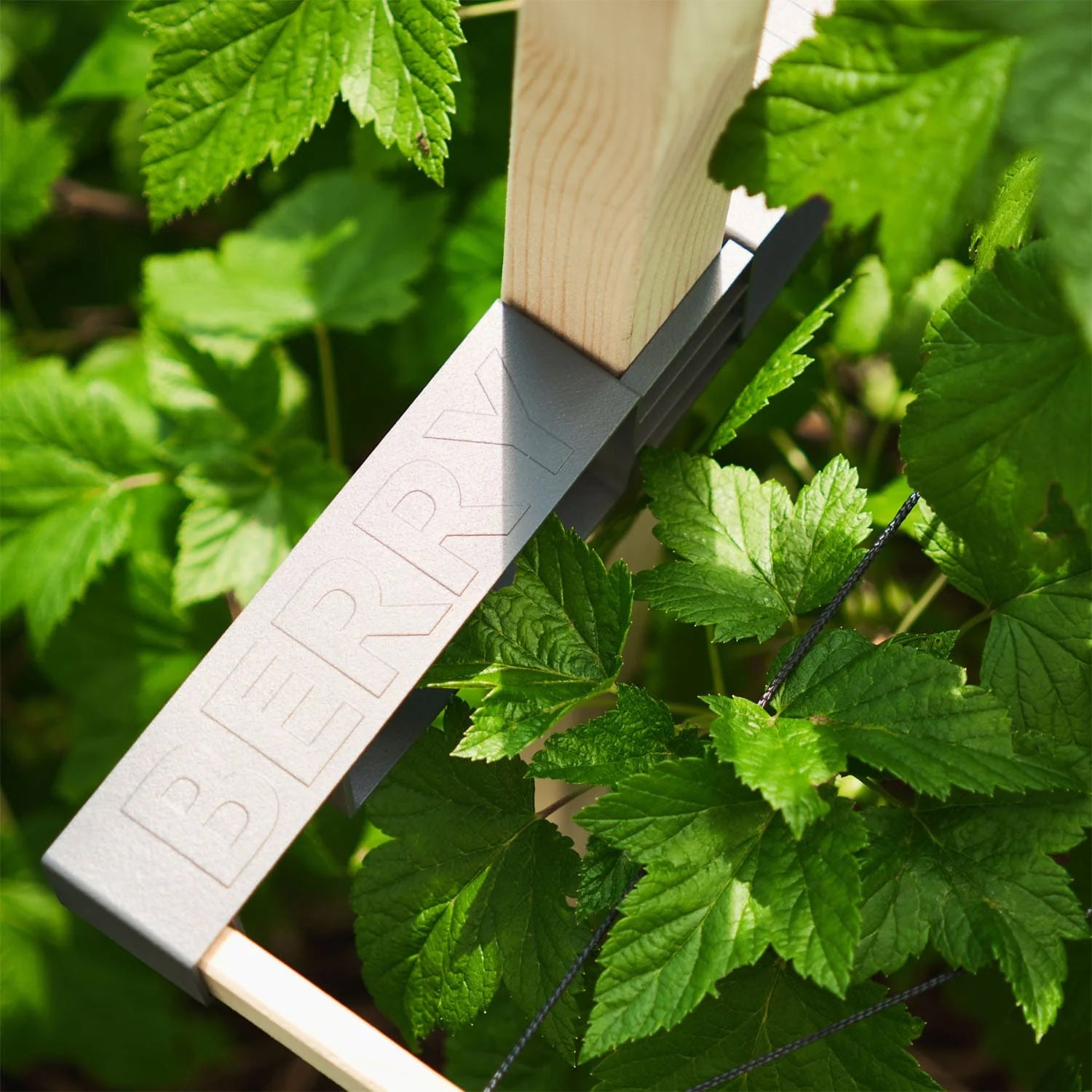  BERRY BUDDY Beerenrankhilfe Erweiterung