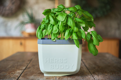  HERBS BUDDY Kräutertopf Hellgrau