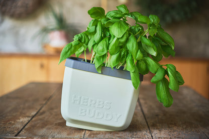  HERBS BUDDY Kräutertopf Hellgrau