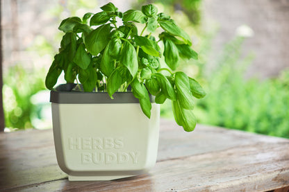  HERBS BUDDY Kräutertopf Hellgrau