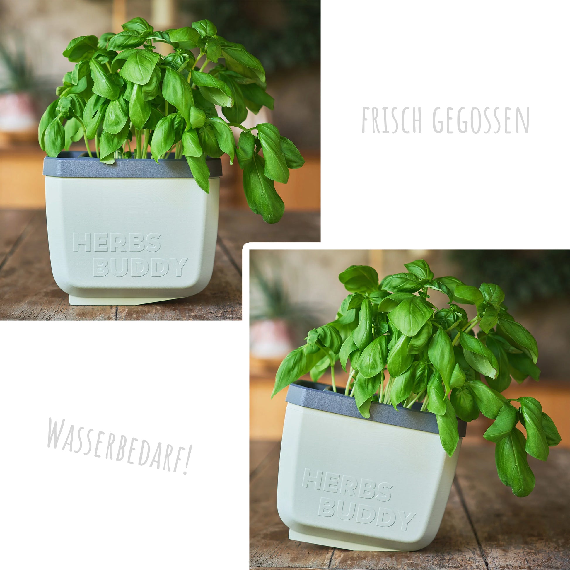  HERBS BUDDY Kräutertopf Hellgrau