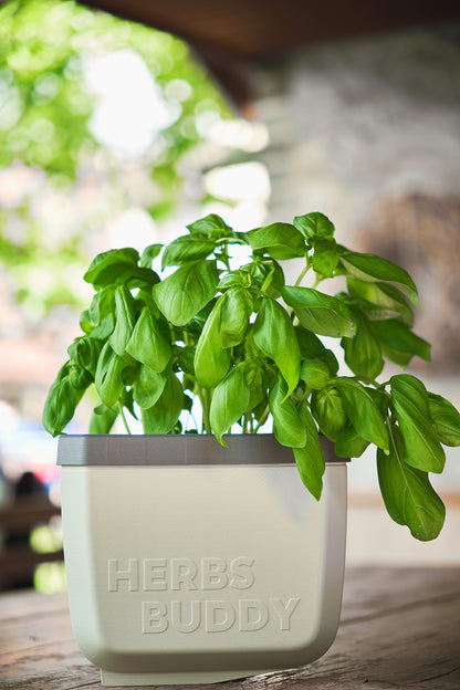  HERBS BUDDY Kräutertopf Hellgrau