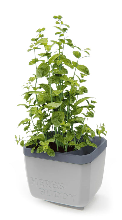  HERBS BUDDY Kräutertopf Hellgrau