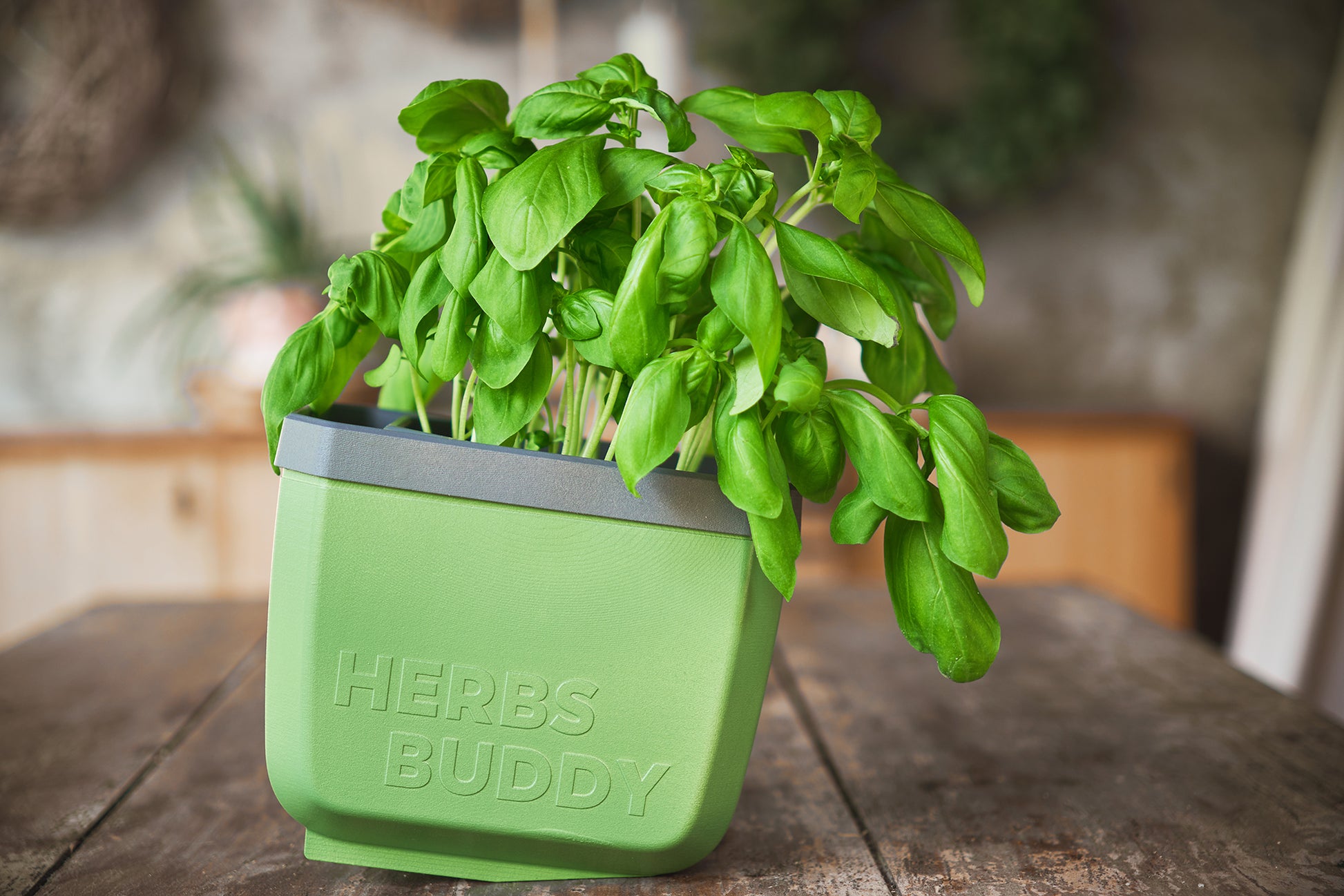  HERBS BUDDY Kräutertopf Dunkelgrün