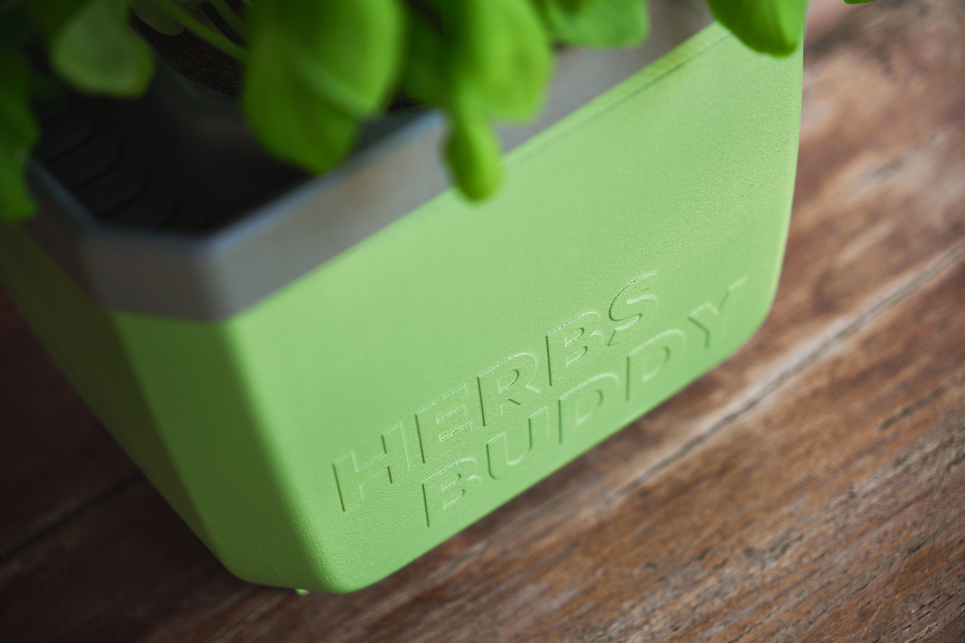  HERBS BUDDY Kräutertopf Dunkelgrün