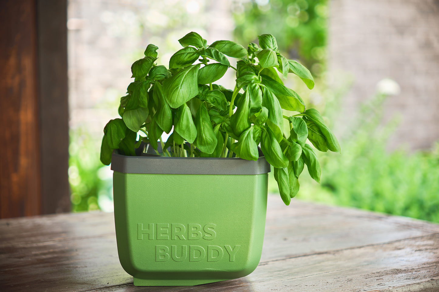 HERBS BUDDY Kräutertopf Dunkelgrün