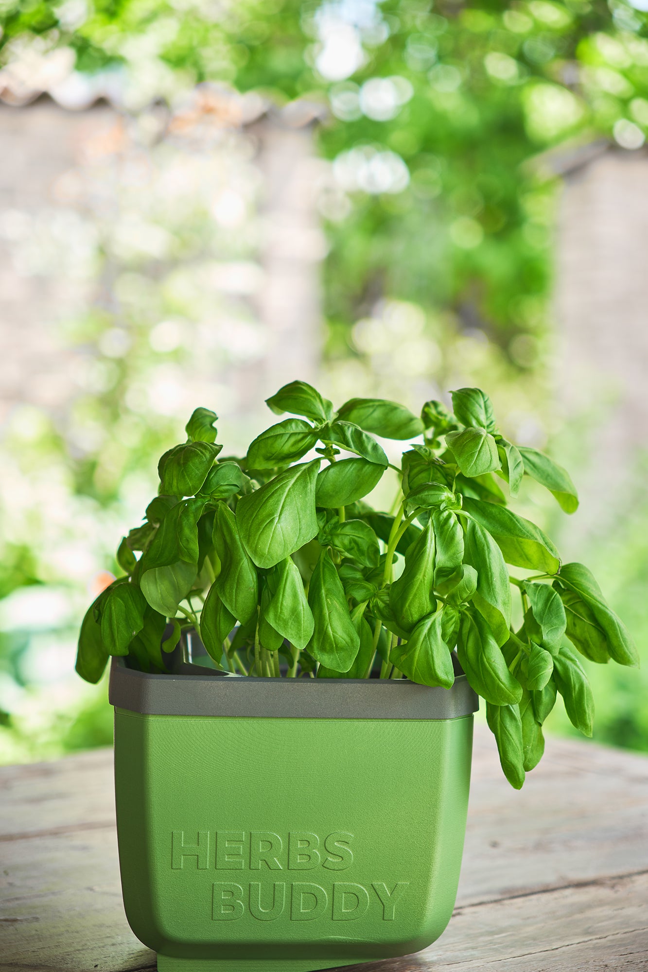  HERBS BUDDY Kräutertopf Dunkelgrün