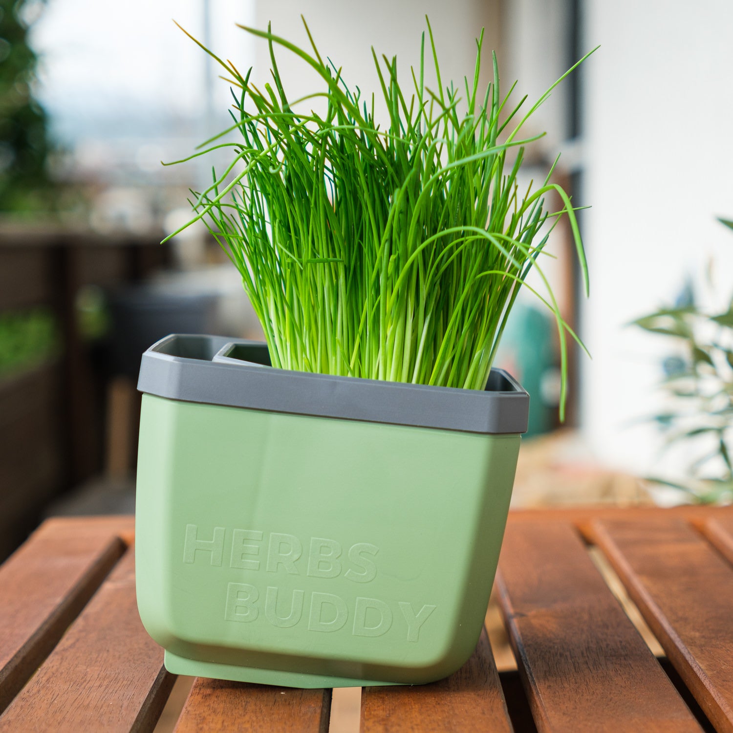  HERBS BUDDY Kräutertopf Dunkelgrün