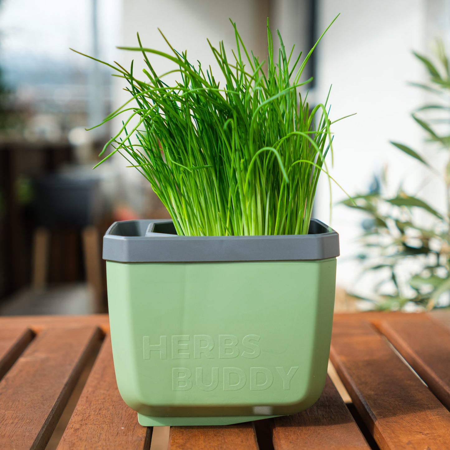  HERBS BUDDY Kräutertopf Dunkelgrün