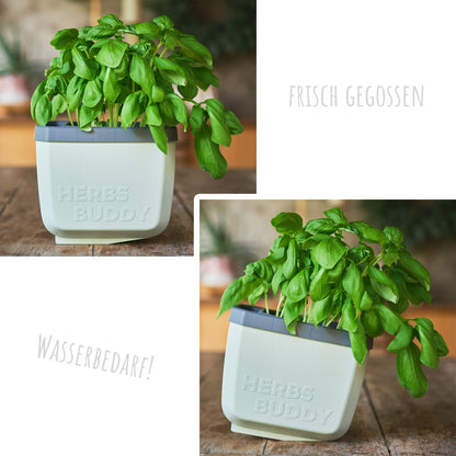  HERBS BUDDY Kräutertopf Dunkelgrün