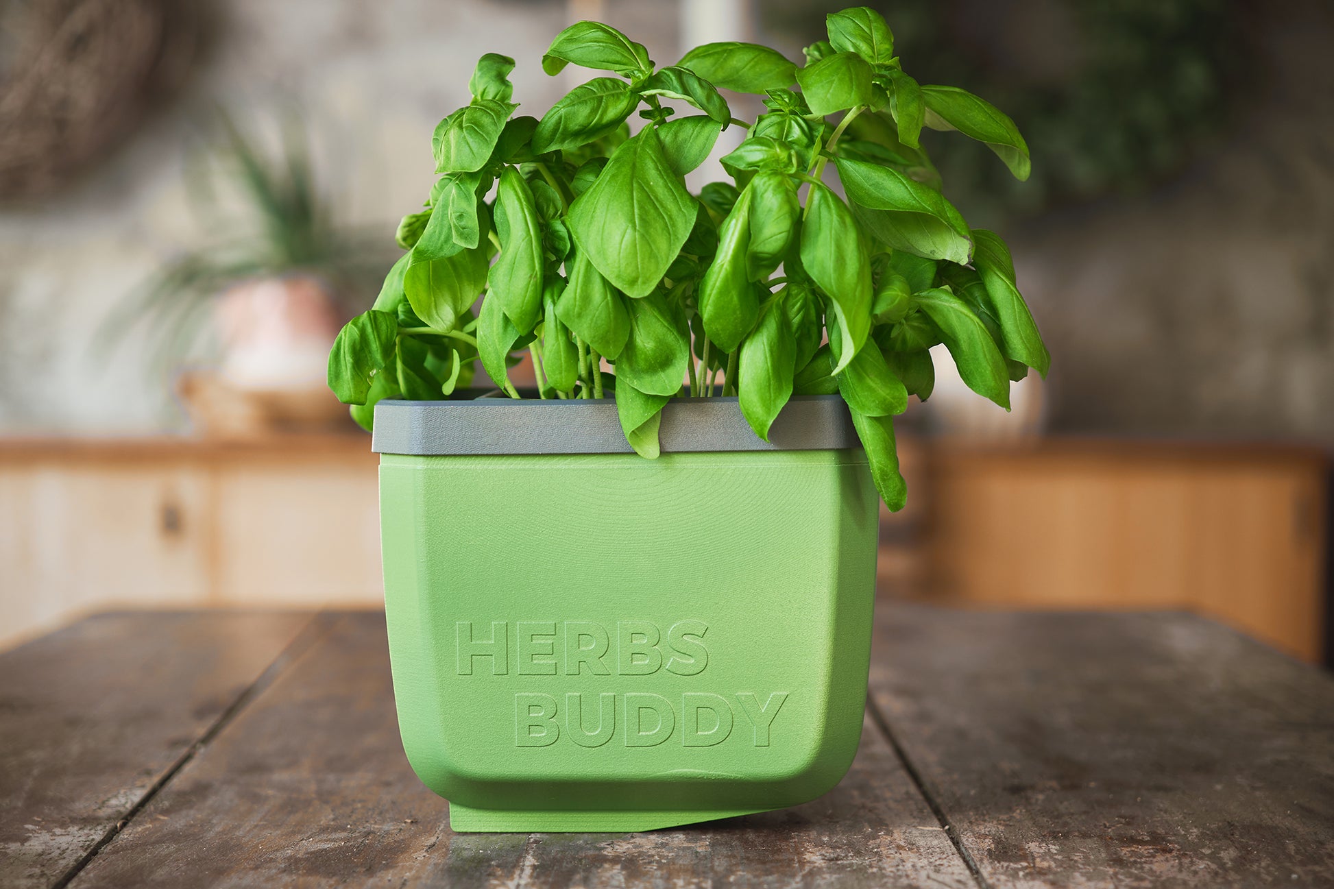  HERBS BUDDY Kräutertopf Dunkelgrün